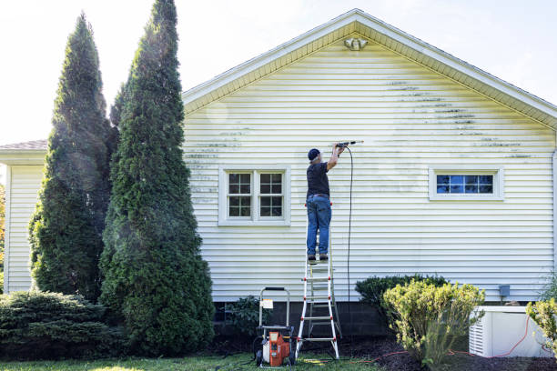 Best Roof Pressure Washing  in Green Tree, PA